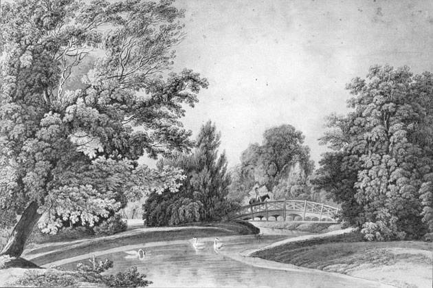 Englischer Garten