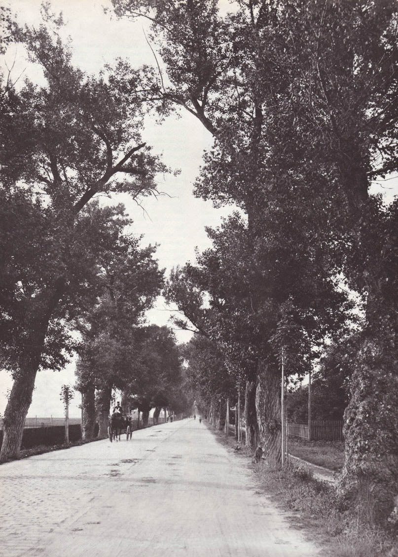 Die Alte Schwabinger 

Landstraße