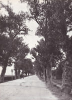  - Die Alte Schwabinger 

Landstraße