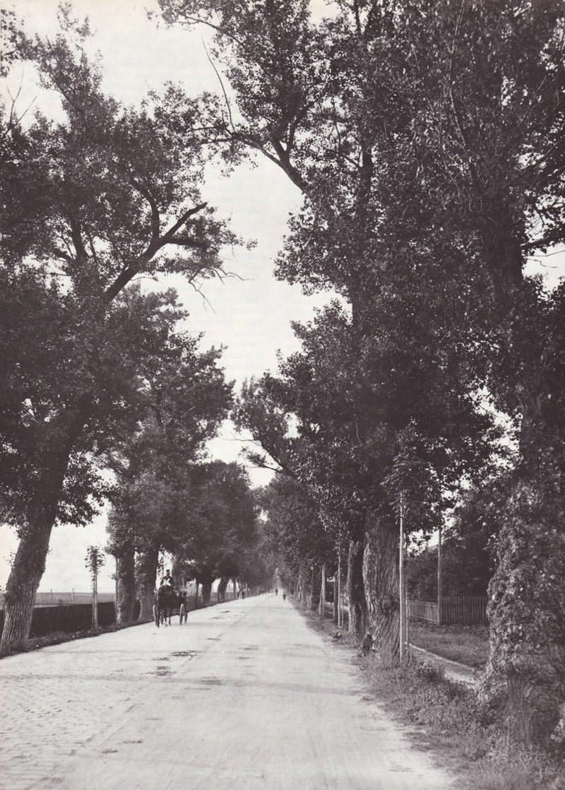 Die Alte Schwabinger 

Landstraße