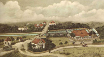 Bad 

Riesenfeld