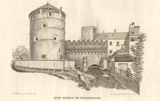  - Scheibling am Roßschwemmbach