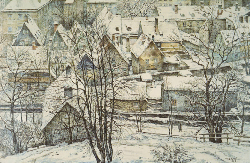 Die Au im Winter