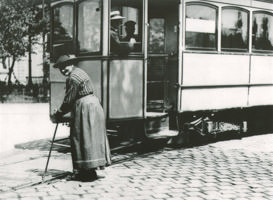  - Schienenritzenreinigungsdame