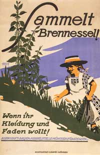  - Sammelt Bennessel