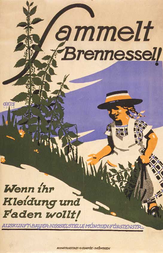 Sammelt Bennessel