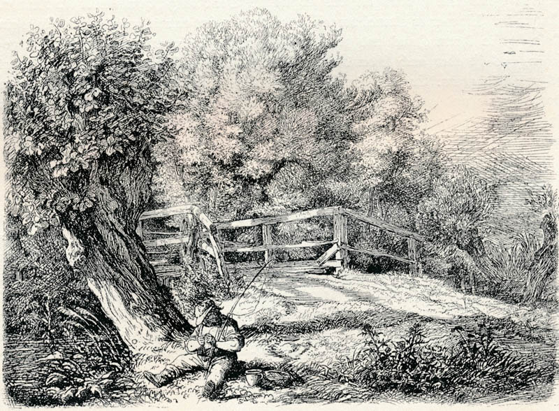 Der Angler