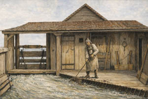  – Regnet - Blatt 05-2