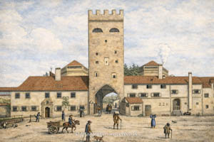  – Regnet - Blatt 49-1