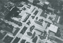 Königsplatz - Tarnbemalung