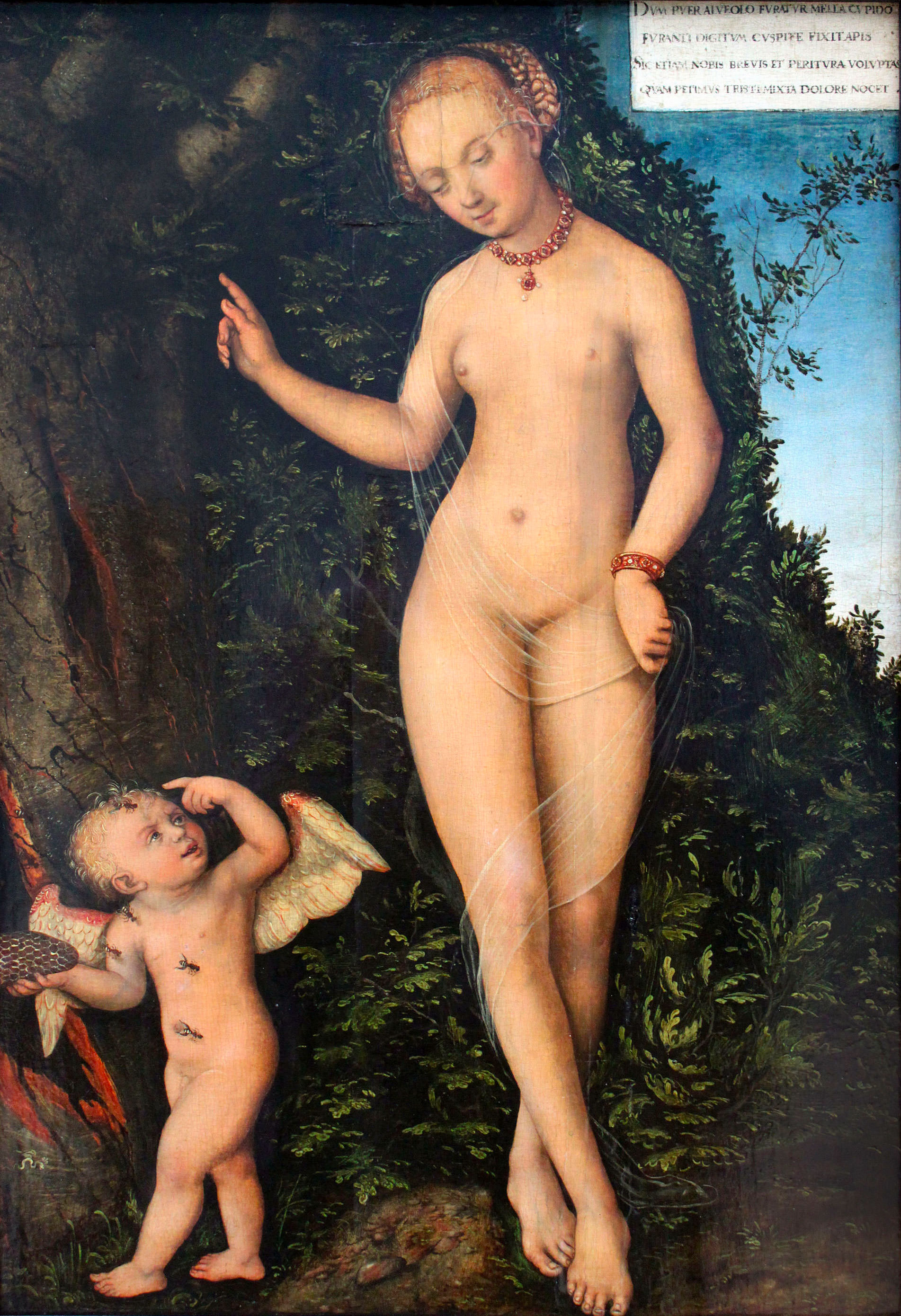 Cranach Lukas der Ältere - Venus mit Amor als Honigdieb