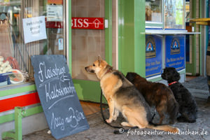 Gerhard Willhalm – Viktualienmarkt