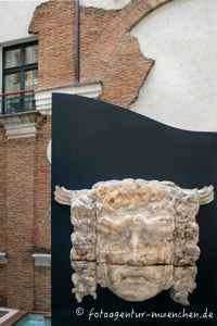 Strobl Roman, Anne Strobl - Medusa