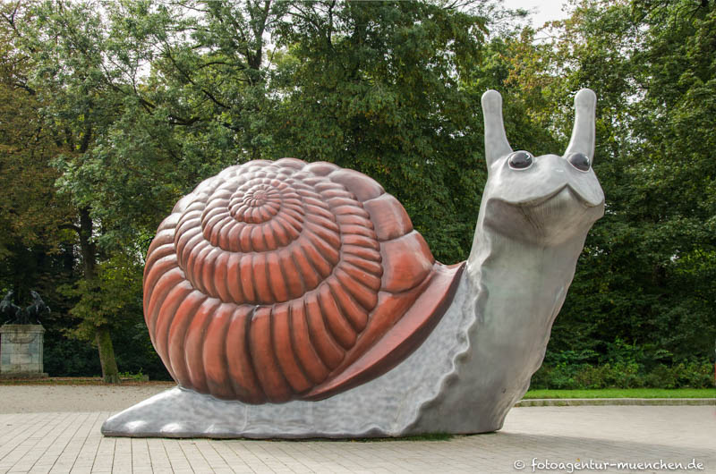 Sweet Brown Snail