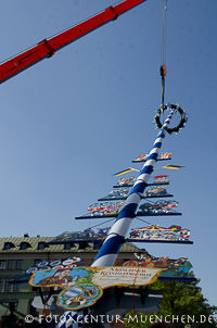 Maibaumaufstellung 2012