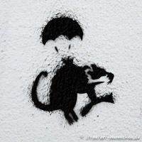 Gerhard Willhalm – Stencil