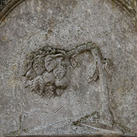 Gerhard Willhalm – Abgebrochener Baum