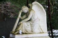 Gerhard Willhalm – Engel auf dem Waldfriedhof