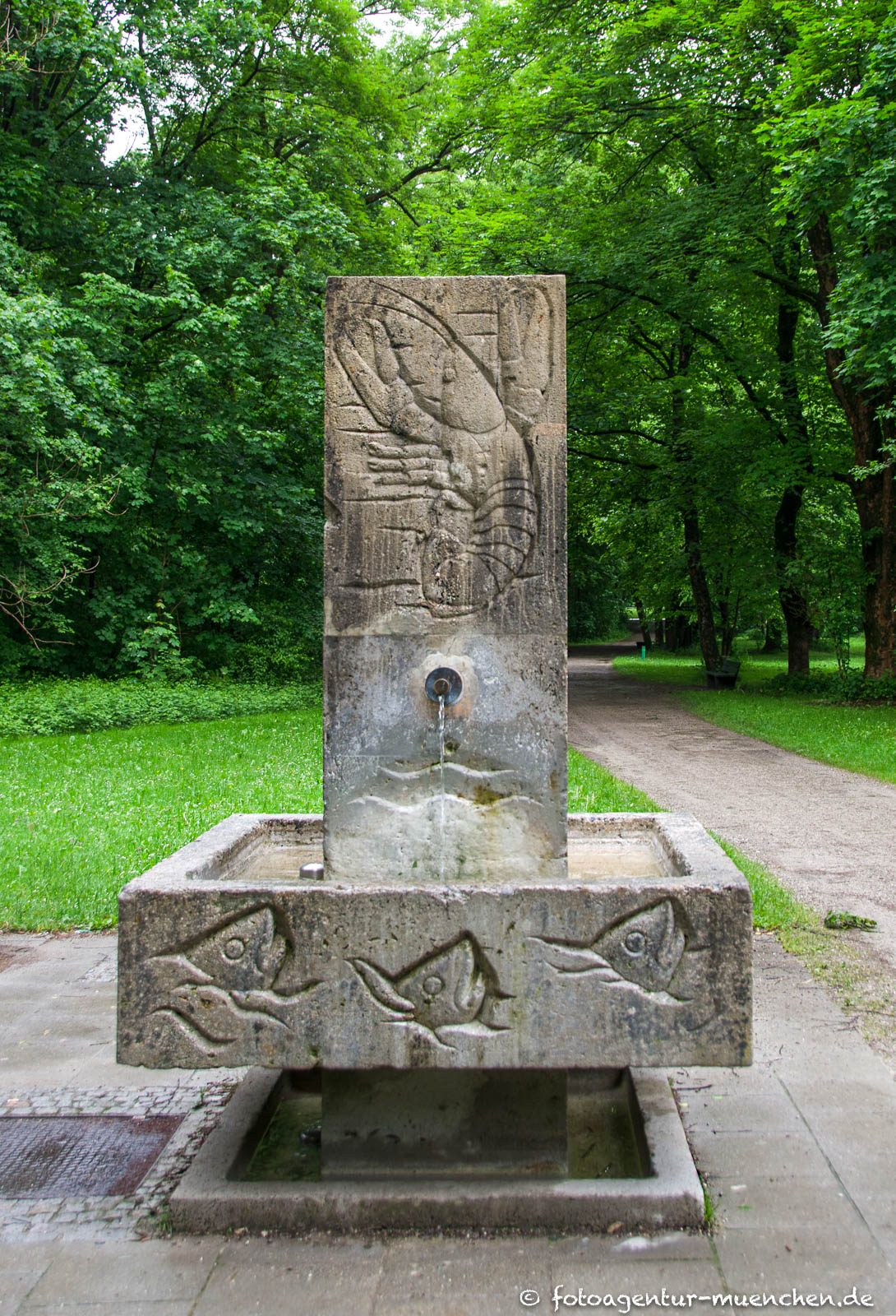 Meerkuh