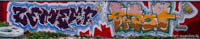 Gerhard Willhalm – Graffiti - Viehhof