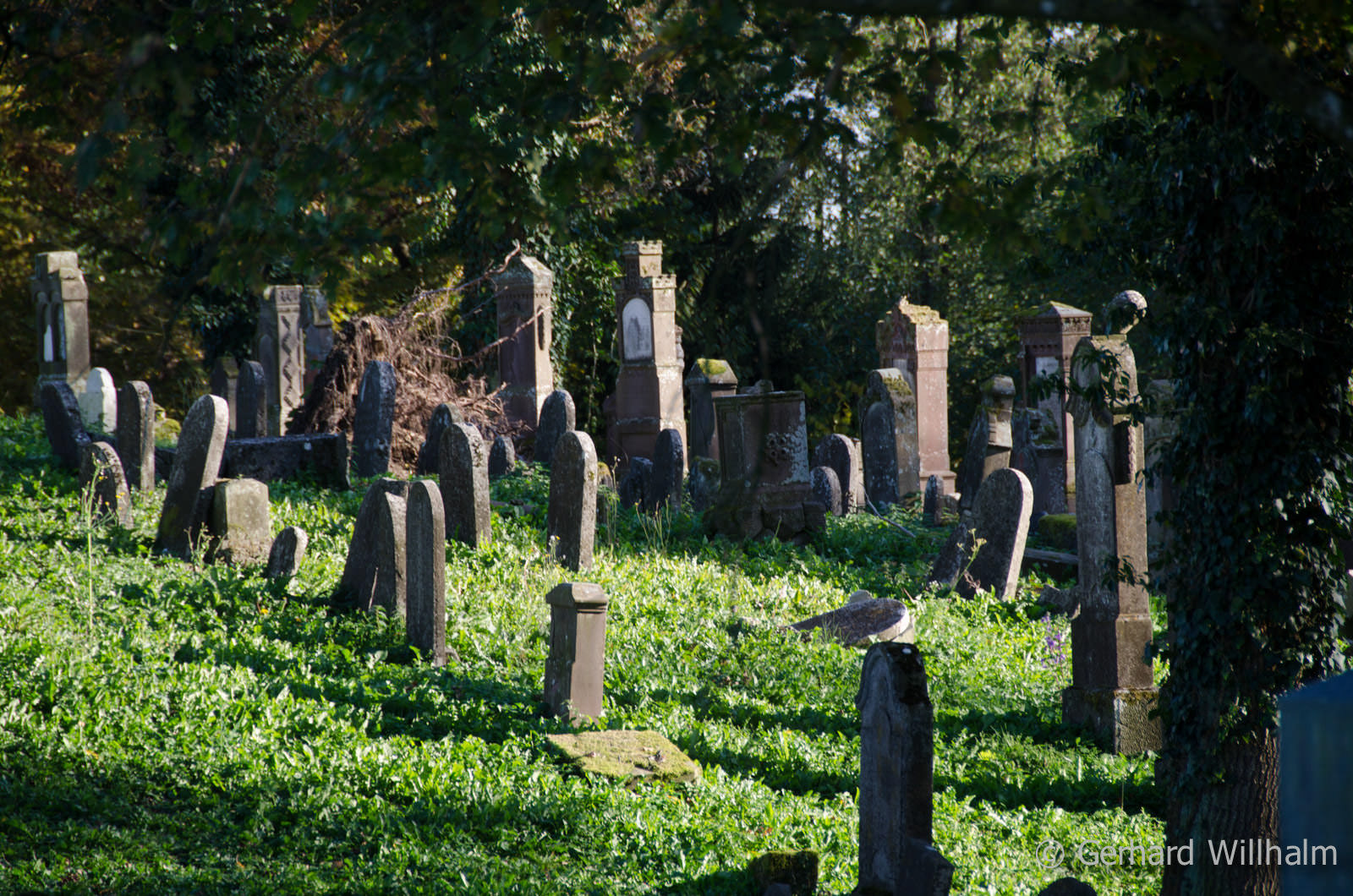 Ichenhausen Jüdischer Friedhof