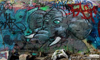 Gerhard Willhalm – Graffiti - Viehhof