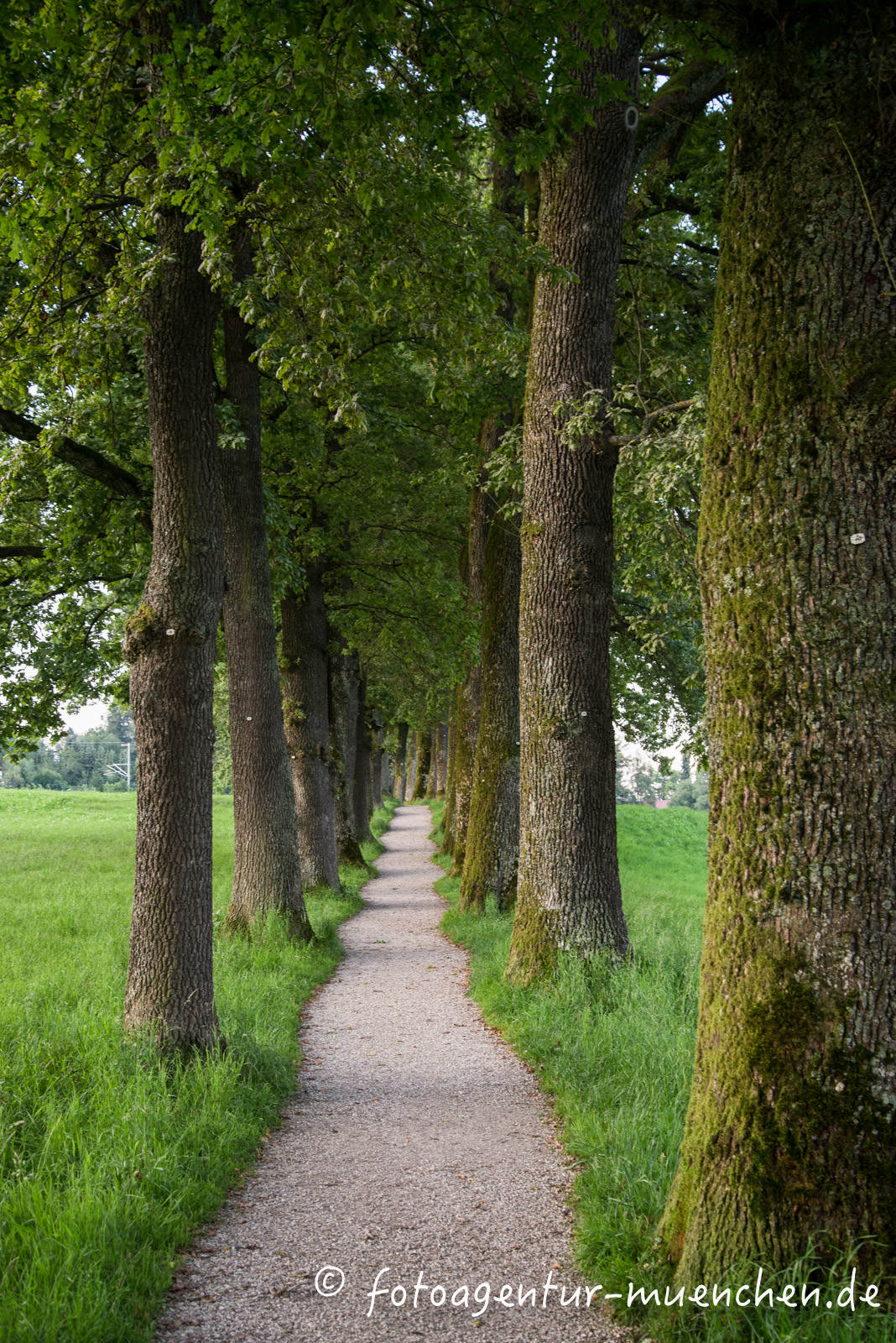 Kottmüller Allee