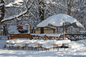 Gerhard Willhalm – Impressionen