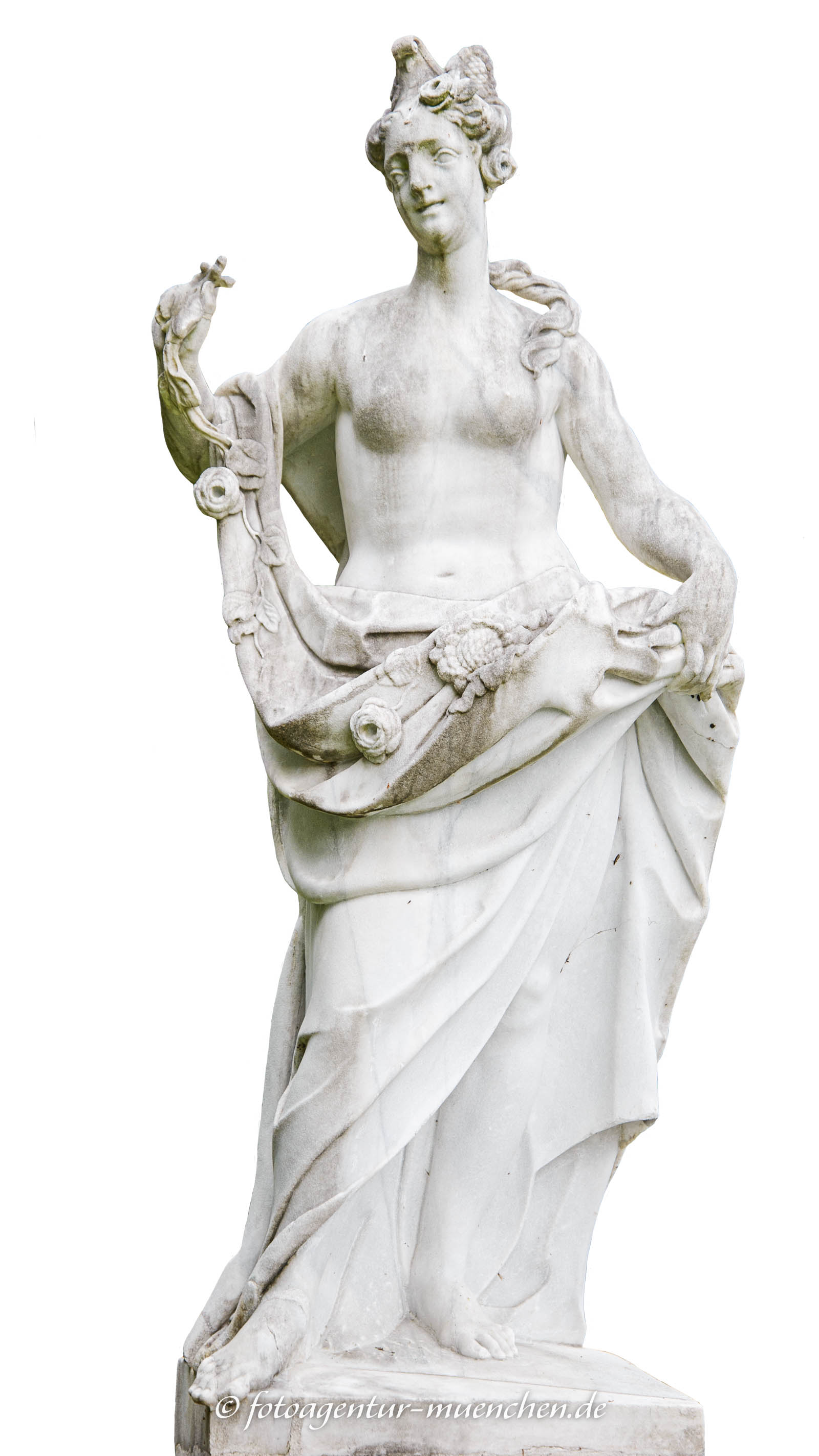 Flora