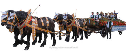 Festwagen - Fischer-Vroni – Foto aus München