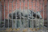 Wimmer Hans - Ochsenbrunnen