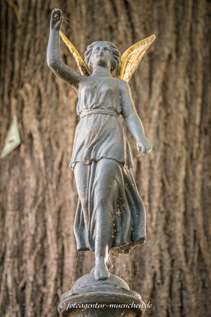 Friedenslinde