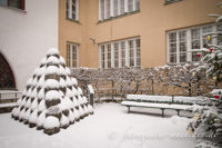 Gerhard Willhalm – Kanonenkugeln im Schnee