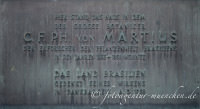 Fries Hermann - Martius