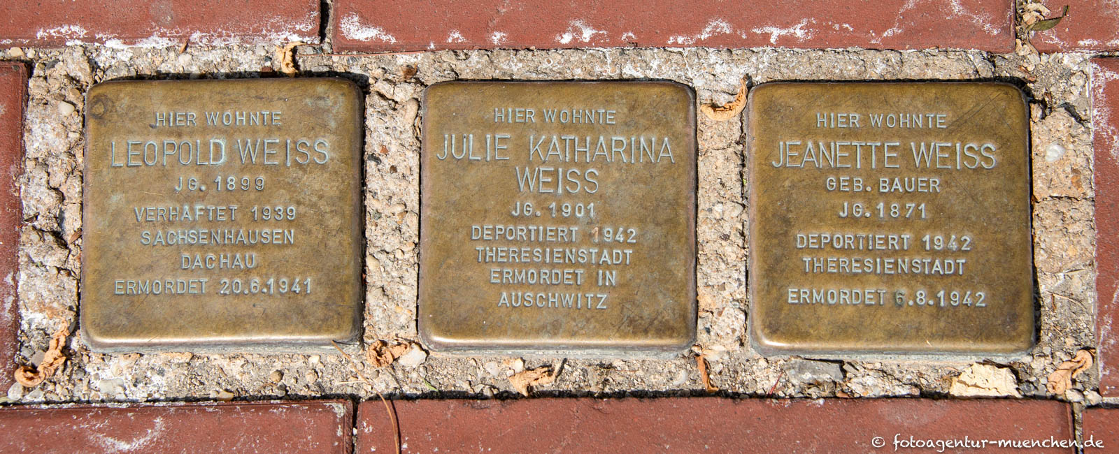 Stolpersteine der Familie Weiss