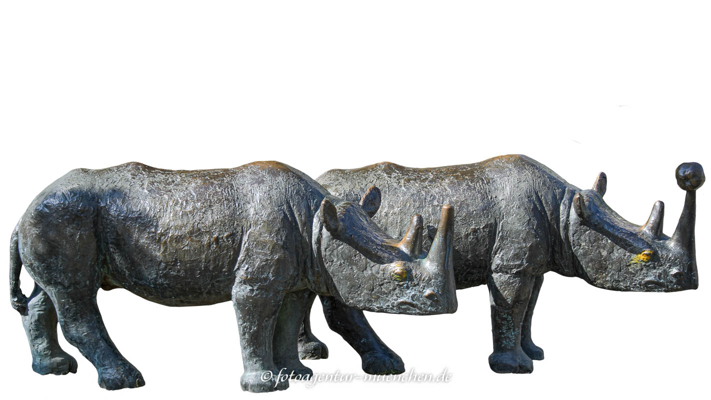 Nashörner Nashorn