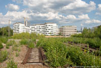 Gerhard Willhalm – Baumkirchen Mitte - Ökologische Ausgleichsfläche