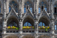 Münchner Rathaus - Neue Balkonbepflanzung