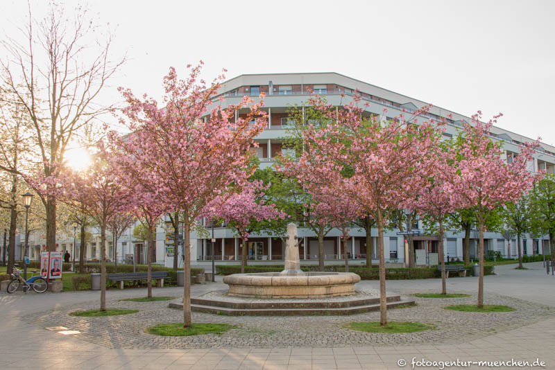 Rundbecken-Brunnen