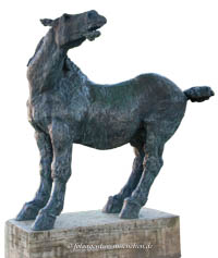  - Wieherndes Pferd