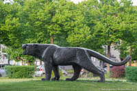  - Panther