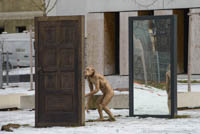 Affe - Spiegel – Foto aus München