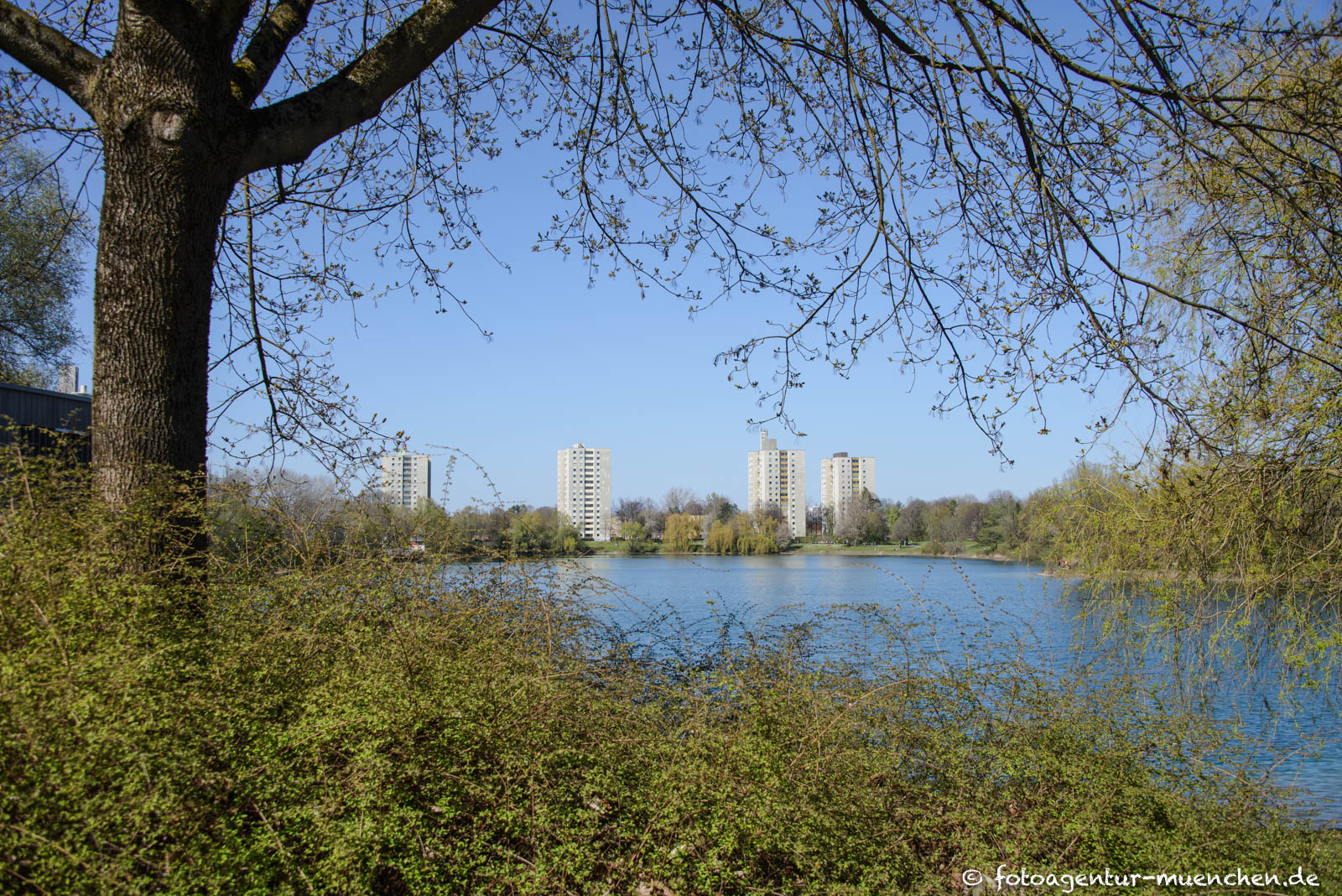Lerchenauser See