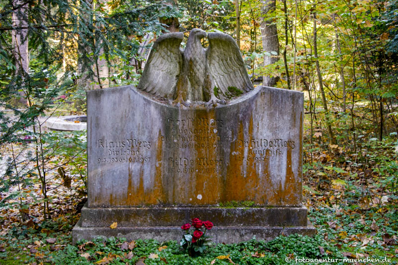 Merz Horst