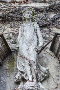 Resch Walter Sebastian - Flora -Botanischer Garten