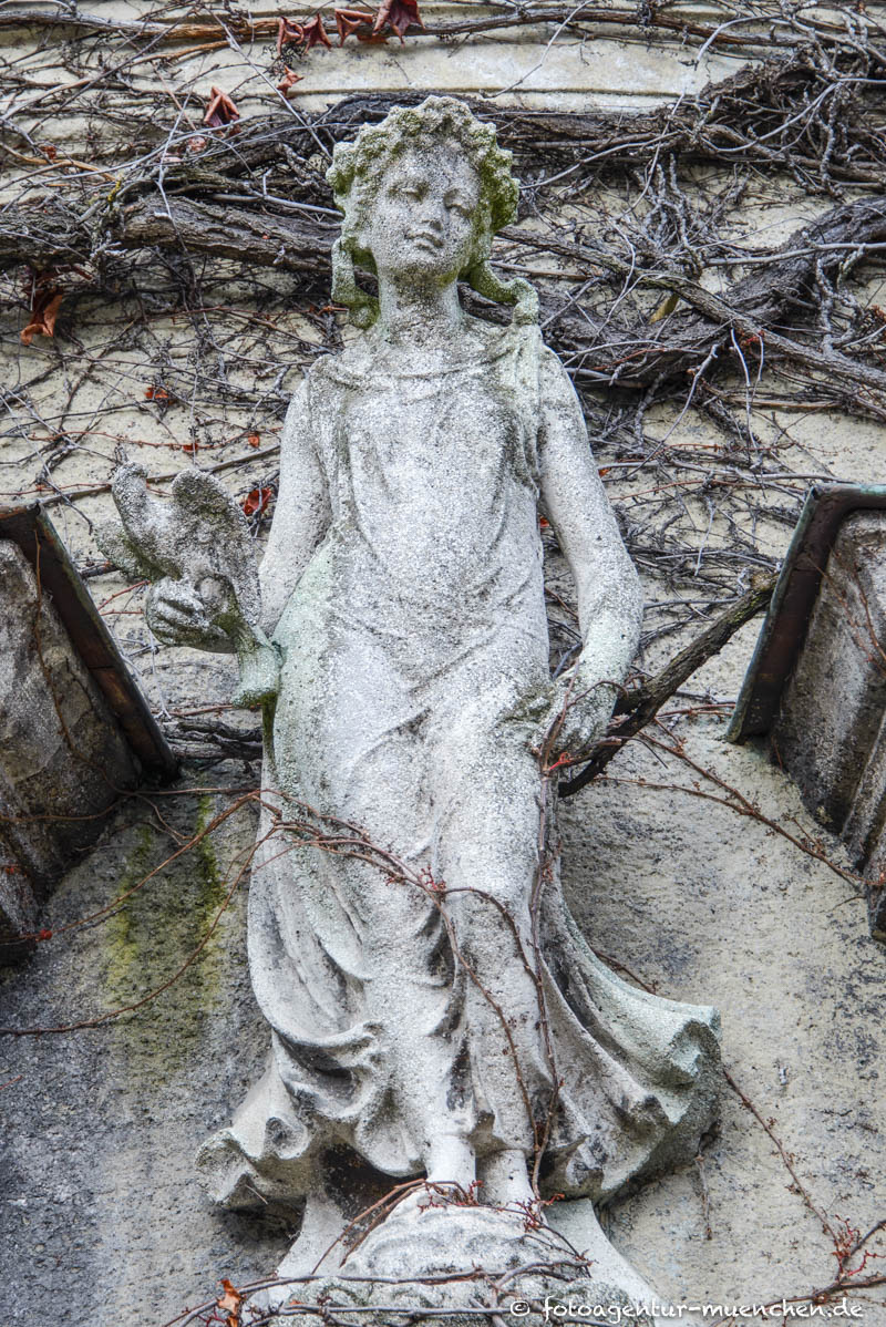Flora - Botanischer Garten