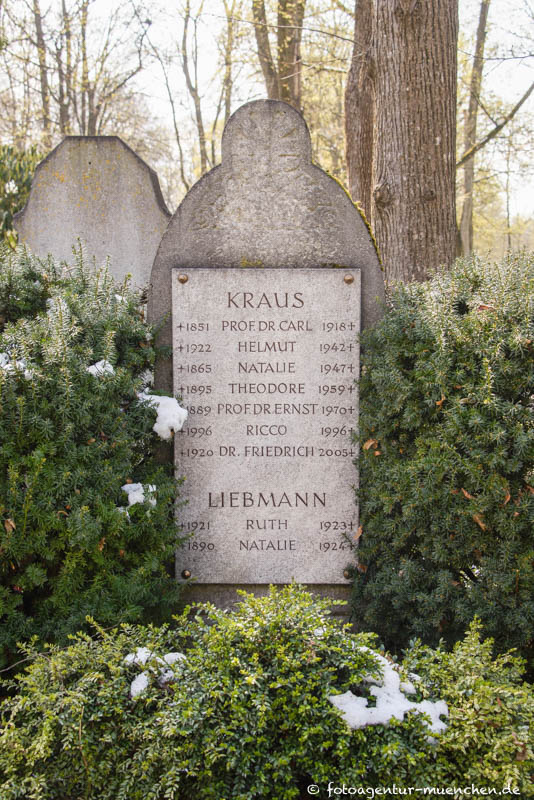 Kraus Carl