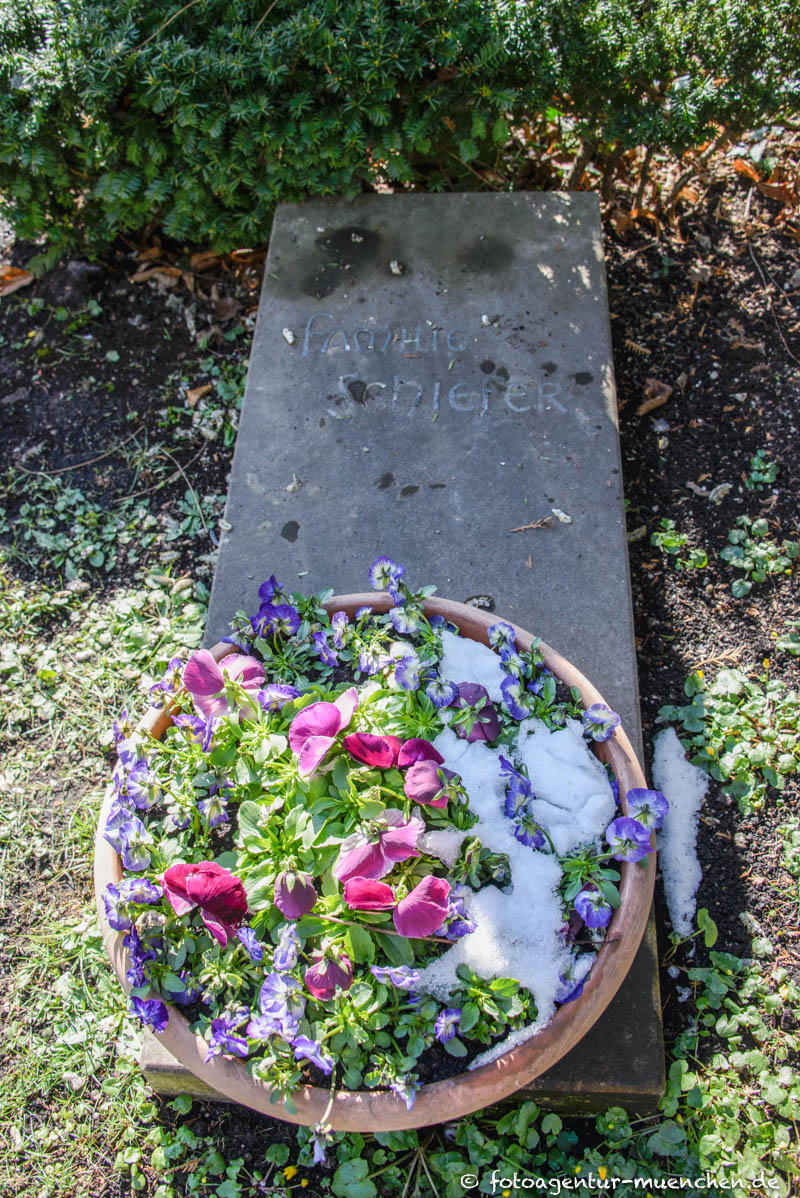 Schiefer Gustav