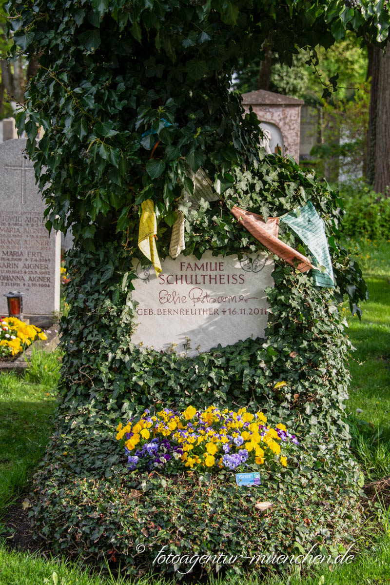 Schultheiss Carl