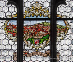Die Stadt Alzey